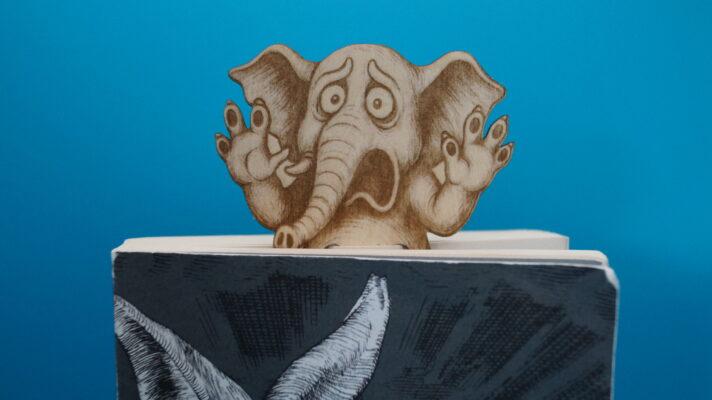 Lesezeichen witzige Tiere - überraschte Gesichter, der Elefant schaut aus einem Taschenbuch heraus, Nahaufnahme.