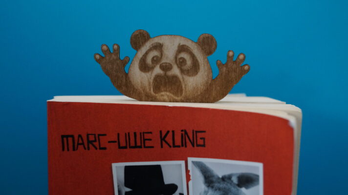 Lesezeichen witzige Tiere - überraschte Gesichter, der Panda schaut aus einem Taschenbuch heraus, Nahaufnahme